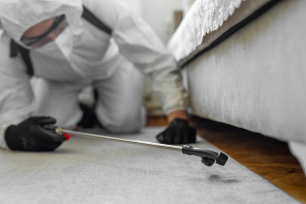 Professional Pest Control technician working in Clay County County, MO